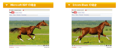 Ericom Blaze